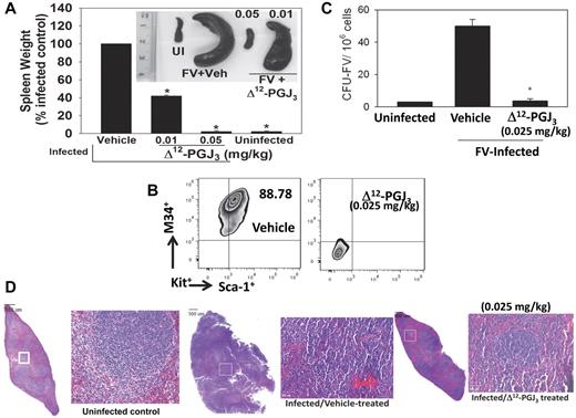 Figure 2. IP administration of Δ12-PGJ3 eradicates FV-leukemia in mice. (A) Spleen weights of FV-infected mice treated with various doses of Δ12-PGJ3 (mg/kg body weight). n = 10 per treatment group. Δ12-PGJ3 treatment at the indicated dosage was started at 1 week after infection for a period of 7 days. *P < .05. Inset: representative spleens from each treatment group. UI indicates uninfected mice. (B) Analysis of LSCs (M34+Kit+Sca1+) in the spleens of FV-infected mice treated with Δ12-PGJ3 or vehicle (Veh) control. (C) FV-CFU formation in Δ12-PGJ3– and vehicle control–treated mice. *P < .001. (D) H&E staining of spleen sections from uninfected (left), FV-infected–vehicle treated (middle), and FV-infected– Δ12-PGJ3–treated mice (right) on day 14 after infection. Small box indicated on each section on the left is magnified on the right side. Scale bars indicate 500 μm.