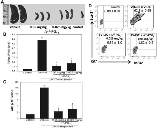 Figure 3. Effect of Δ12-PGJ3 treatment on leukemia induced by transplanting FV-induced LSCs expanded in vitro into FV-resistant Stk−/− mice. (A) Photograph of spleens from Stk−/− mice 7 weeks after transplantation with FV-LSCs followed by treatment with vehicle, 0.05 mg/kg, or 0.025 mg/kg Δ12-PGJ3 for 1 week. (B) Spleen weights are shown for the conditions in panel A. n = 5 per group, *P < .05 compared with the vehicle-treated group. (C) WBC counts in LSC-transplanted Stk−/− mice treated with indicated amounts of Δ12-PGJ3 or vehicle control. n = 5 per group. *P < .05 compared with vehicle-treated group. (D) M34+Kit+Sca1+ cells in Stk−/− mice transplanted with LSCs. Spleen cells that were isolated and gated on Kit+, expression of M34 and Sca1 is shown. n = 5 per group.