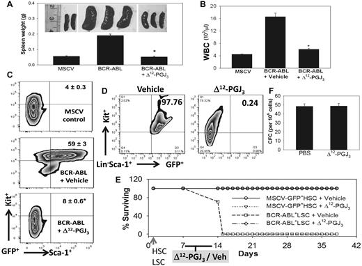 Figure 4. IP administration of Δ12-PGJ3 eradicates LSCs and prolongs survival in a murine CML model. (A) Analysis of the effect of Δ12-PGJ3 treatment on the development of splenomegaly in mice transplanted with BCR-ABL-GFP+ LSCs. Representative photographs of spleens from control and BCR-ABL–transplanted mice treated with Δ12-PGJ3 (0.025 mg/kg) or vehicle control with corresponding spleen weights. n = 10 per treatment group. *P < .05. (B) Analysis of WBC counts of BCR-ABL+ LSC- or MSCV-HSC–transplanted mice treated with Δ12-PGJ3 or vehicle control. *P < .0001. (C) Flow cytometric analysis of Sca-1+Kit+GFP+ cells in the spleens of mice transplanted with BCR-ABL+ LSCs or MSCV+ HSCs treated with Δ12-PGJ3 or vehicle control. n = 5 per group. *P < .001. (D) Analysis of LSCs (Kit+Sca-1+Lin−GFP+) in the BM of BCR-ABL+ LSC-transplanted and Δ12-PGJ3–treated mice after 5 weeks of last dose of Δ12-PGJ3 (0.025 mg/kg). As a control, BCR-ABL+ LSC–transplanted mice treated with vehicle for 1 week were used for comparison. (E) Survival curves of mice transplanted with BCR-ABL+ LSCs or MSCV-GFP+ HSCs on treatment with Δ12-PGJ3 (0.025 mg/kg) or vehicle. n = 8 per treatment group. (F). HSCs were isolated from the BM of C57BL/6 mice and plated in methylcellulose (1 × 106 cells/mL/well; erythropoietin, SCF, IL-3, and BMP4) with PBS or Δ12-PGJ3 (25nM) and cultured for 1 week and then hematopoietic CFCs were scored. Data shown are representative of triplicate experiments.
