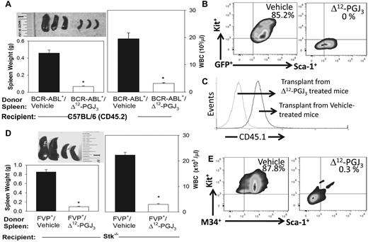 Figure 5. Secondary transplantation of spleen cells from Δ12-PGJ3–treated recipients showing the absence of leukemia. Panels A through C represent secondary transplantation of CD45.1+ BCR-ABL mice treated with Δ12-PGJ3 or vehicle control transplanted into CD45.2 recipient mice. Panels D and E represent FV-LSCs from Δ12-PGJ3 or vehicle control–treated mice transplanted into secondary BALB/c-Stk−/− recipients. (A) Spleen morphology (top left), spleen weight (bottom left), and WBC counts of mice after secondary transplantation that received donor cells from vehicle-treated or Δ12-PGJ3–treated donor cells (right). (B) Flow cytometric analysis of spleen cells from secondary transplantations. Cells were gated on GFP+ and the expression of Kit and Sca1 are shown. (C) Analysis of donor CD45.1 expression in spleen cells. (D) Spleen morphology (top left), spleen weight (bottom left), and WBC counts of mice after secondary transplantation that received donor cells from vehicle-treated or Δ12-PGJ3–treated donor cells (right). (E) Flow cytometric analysis of spleen cells from secondary transplantations. Cells are gated on M34+ and the expression of Kit and Sca1 is shown.