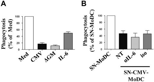 Figure 5. IL-6 is not crucial for inhibition of phagocytosis in CMV-MoDCs. Monocytes differentiated for 5 days as described below were cocultured with PKH-26–labeled apoptotic fibroblasts for 24 hours. Phagocytic activity was determined as described in “Phagocytosis assays.” (A) Monocytes were differentiated in standard medium (Med), after infection (CMV), with added IL-6 (50 ng/mL), or without GM-CSF (ΔGM). (B) Monocytes were differentiated in the presence of supernatant from MoDCs (SN-MoDC) or CMV-MoDCs (SN-CMV-MoDC) supplemented with medium (NT), IL-6 neutralizing Ab (αIL-6; 15 μg/mL), or isotype control Ab (iso; 15 μg/mL). Results are expressed as the percentage of phagocytic activity relative to MoDCs (100%). Error bars indicate the SD. Representative of ≥ 3 independent experiments.