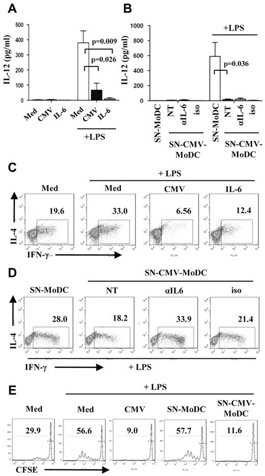 Figure 6. Blockage of allogenic T-cell proliferation and TH1 polarization by CMV-MoDCs is partially because of IL-6 secretion. (A,C) Monocytes were either mock-infected (Med) or infected with CMV (CMV) or supplemented with IL-6 (50 ng/mL), differentiated in the presence of GM-CSF and IL-13 for 5 days and treated (or not) with ultrapure LPS (200 ng/mL) for 24 hours. (B,D) Supernatant from MoDCs (SN-MoDC) or CMV-MoDCs (SN-CMV-MoDC) were added to monocytes before differentiation in the presence (αIL-6; 15 μg/mL) or not (NT) of anti–IL-6 neutralizing Abs or isotypic Ab as control (iso; 15 μg/mL). (A-B) IL-12 was quantified by CBA on day 6 of culture. (C-D) DCs derived from monocytes as described above were cocultured with naive allogenic T cells for 8 days after adding IL-2 (50 U/mL) on day 5. Cells were fixed, permeabilized, double-labeled with anti–IL-4 and anti–IFN-γ Abs, and analyzed by flow cytometry. (E) Monocytes were either mock-infected (Med), or infected with CMV (CMV), or treated with supernatant (SN) as indicated before differentiation. Naive allogenic T cells were stained with CFSE and cocultured for 5 days with monocyte-derived DCs as indicated. The proliferation of T cells was analyzed by flow cytometry. Error bars represent SD. Representative of ≥ 3 independent experiments. P values were obtained with Student t test.