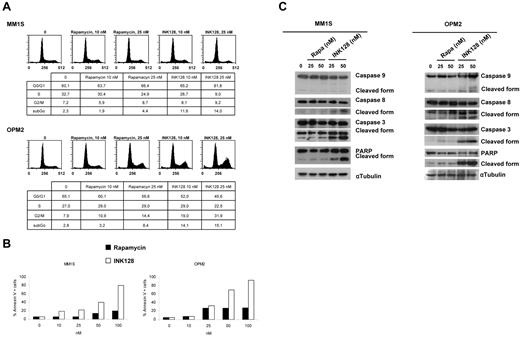 Figure 4. INK128 induces cell-cycle arrest and apoptosis in MM cells. (A) MM1S and OPM2 cells were cultured with rapamycin (10 and 25nM) or INK128 (10 and 25nM) for 24 hours, and cell-cycle analysis was performed by propidium iodide staining. (B) MM1S and OPM2 cells were treated with rapamycin (5-100nM) or INK128 (5-100nM) for 48 hours, and apoptosis was determined using annexin/propidium iodide staining and flow cytometric analysis. (C) MM1S and OPM2 cells were cultured with rapamycin (25 and 50nM) or INK128 (25 and 50nM) for 24 hours. Whole-cell lysates were subjected to Western blotting using anti–caspase-9, anti–caspase-8, anti–caspase-3, anti-PARP, and anti–α-tubulin Abs.