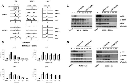 Figure 5. Coculture with BMSCs does not protect against INK128-induced MM-cell cytotoxicity. (A) Detection of Erk, 4EBP1, and Akt activation with the nanofluidic proteomic immunoassay in response to coculture with BMSCs, IL-6, or IGF1 in MM1S and OPM2 cells. Peaks on the traces that represent phosphorylated isoforms are indicated with black arrows. All measurements were performed in triplicate. (B) MM1S and OPM2 cells were cultured with rapamycin (10-100nM) or INK128 (10-100nM) for 48 hours in the presence or absence of BMSCs. Cell proliferation was assessed using the BrdU uptake assay. (C) MM1S and OPM2 cells were cultured with rapamycin (25-100nM) or INK128 (25-100nM) for 5 hours in the presence or absence of BMSCs. Whole-cell lysates were subjected to Western blotting using anti–p-rS6, anti–p-4EBP1, anti–p-Akt, and anti–α-tubulin Abs. (D) MM1S and OPM2 cells were cultured with rapamycin (25-100nM) or INK128 (25-100nM) for 5 hours in the presence or absence of IL-6. Whole-cell lysates were subjected to Western blotting using anti–p-rS6, anti–p-4EBP1, anti–p-Akt, and anti–α-tubulin Abs.