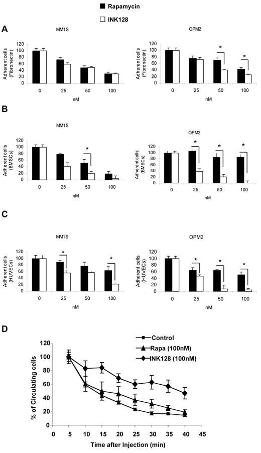 Figure 6. Effect of INK128 on adhesion of MM cells. Adhesion assays with MM1S and OPM2 in the presence or absence of rapamycin (25-100nM) or INK128 (25-100nM). (A) Adhesion of MM cells to primary fibronectin. (B) Adhesion of MM cells to primary BMSCs. (C) Adhesion of MM cells to HUVECs. All data represent means ± SD of triplicate experiments. (D) Effect of rapamycin and INK128 on OPM2 cell homing after tail-vein injection in mice detected by circulating OPM2 cells using in vivo flow cytometry. All data represent means ± SD of triplicate experiments.