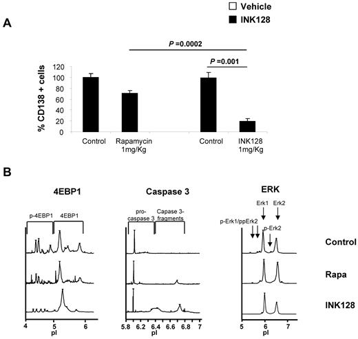 Figure 7. In vivo antimyeloma effect of INK128. Vehicle, rapamycin, or INK128 was administered by oral gavage at 1 mg/kg/d for 10 days. (A) Detection of CD138+ cells in the BM of mice assessed by flow cytometry. (B) Nanofluidic proteomic immunoassay analyses for Akt, p-4EBP1, and caspase-3 were performed in CD138+ cells isolated from femurs of 9 mice.