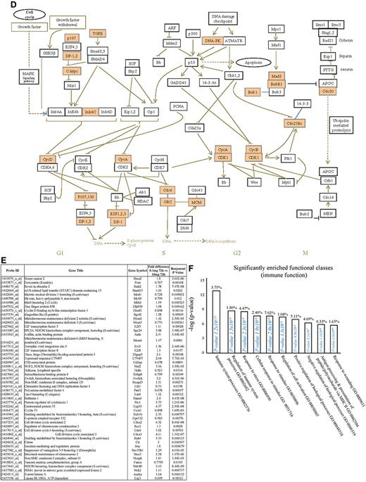 Figure 1. Phenotype of rM compared with pro-inflammatory macrophages. (A) Gene expression of rM is compared with pro-inflammatory macrophages using cells from 6 animals showing a stark contrast in macrophage phenotypes. (B) A sample of the top up- and down-regulated genes in rM cells versus pro-inflammatory macrophages based on FDR of 0.05 and fold expression difference of 1.5. The software package Expander Version 5.1 detected significantly enriched functional gene sets in rM versus pro-inflammatory macrophages, including those for (C) proliferation with key genes enriched for cell cycling shown in panel D and a list of the genes shown in panel E (see Figure 1 continued). The software package Expander Version 5.1 detected significantly enriched functional gene sets in rM versus pro-inflammatory macrophages, including key genes enriched for cell cycling shown in panel D and a list of the genes shown in panel E. In addition to proliferation, other pathways were enriched in rM compared with pro-inflammatory macrophages: (F) immune function. In addition to proliferation, other pathways were enriched in rM compared with pro-inflammatory macrophages: (G) a range of other significantly enriched functional classes.