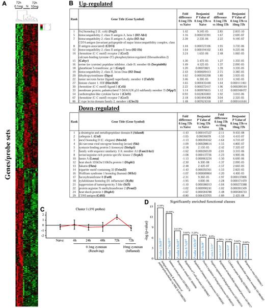 Figure 2. Genes enriched in rM cells compared with naive and pro-inflammatory macrophages. An FDR of 0.05 and fold difference of 1.5 revealed (A) 342 genes up- and down-regulated in rM compared with pro-inflammatory (10 mg zymosan) and naive macrophages, a sample of the most differentially expressed genes presented in panel B. The software package Expander Version 5.1 detected (C) 191 probe sets significantly up-regulated in rM cells with these gene sets enriched for (D) aspect of antigen uptake/presentation and immune function. (E) A list of the genes involved in antigen processing and presentation of peptide/polysaccharide via MHC class II (GO:0002504), immune system process (GO:0002376), response to stimuli (GO:0050896), and regulation of T-cell activation (GO:0050863). There was significant enrichment for (F) 154 down-regulated probe sets with their significantly enriched functional classespresented in panel G. Genes involved in developmental processes (GO:0032502) are listed in panel H.