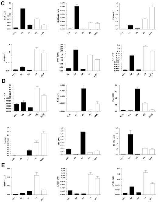 Figure 4. Validation of microarray analyses and phenotype of rM compared with in vitro-derived M1 and M2 macrophages. Quantitative PCR for (A) genes most differentially expressed in rM versus pro-inflammatory macrophages validating original microarray findings, including (B) CD209a, the monocyte-derived DC marker, which was included arising from the DC-like phenotype deduced in Figure 3. For comparisons with established M1/M2 cells, BMDMs were incubated with either LPS/IFN-γ (M1) and/or IL-4 (M2) for 24 hours. RNA was extracted and probed for a range of typical (C) M1, (D) M2, and (E) M2b markers. Data are represented and analyzed by ANOVA followed by Bonferroni multiple comparison tests. Values are mean ± SEM of n = 5 or 6 mice per group. *P < .05, **P < .01, and ***P < .001.