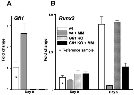 Figure 5. Lack of Gfi1 in mouse BMSCs decreases the degree of MM repression of Runx2 in vitro. BMSCs recovered from Gfi1+/+ and Gfi1−/− mice were expanded in culture for 3 to 4 weeks. The BMSCs were then exposed to 5TGM1-GFP-TK cells in a transwell for 48 hours followed by either RNA harvest (day 0) or 5-day incubation in OB differentiation media before RNA harvest (day 5). RNAs were analyzed by quantitative PCR for (A) Gfi1 and (B) Runx2 levels. The Runx2 expression in the MM-exposed Gfi1−/− BMSCs was significantly increased relative to the MM-exposed Gfi1+/+ BMSCs (P < .05). BMSCs from Gfi1+/− mice were also analyzed but were found to behave identically to Gfi1+/+ and were not included for clarity.