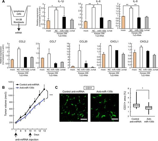 Figure 6. Regulation of paracrine inflammatory reaction and tumorigenic potential by miR-135b. (A) ALCL cells stimulate proinflammatory cytokine (IL-1β, IL-6, and IL-8) and chemokine (CCL2, CCL7, CCL20, CXCL1, and CXCL2) production in human fibroblasts through an miR-135b–dependent manner. WI-38 human fibroblasts were cocultured with Karpas 299 or Jurkat cells and subjected to qRT-PCR assay (*P < .05; **P < .01). (B) Growth curves of Karpas 299 subcutaneous tumors after transplantation into SCID mice and administration with miR-135 antisense–atelocollagen or control oligonucleotide–atelocollagen complexes. After random assignment at day 7 after inoculation (n = 6/group), LNA-based antisense oligonucleotides (5μM) with atelocollagen were administered into the subcutaneous spaces around the tumors at days 7 and 10 and measured (means ± SEM; ***P < .001). (C) Effects of miR-135b inhibition on tumor angiogenesis. Representative images of CD31 immunostaining of tumor sections (left) and quantification of microvessel density measured by CD31-positive area (right). Pixel density was quantified in multiple tumor images from 6 mice per group using ImageJ 1.36b software. Scale bar represents 100 μm (*P < .05).