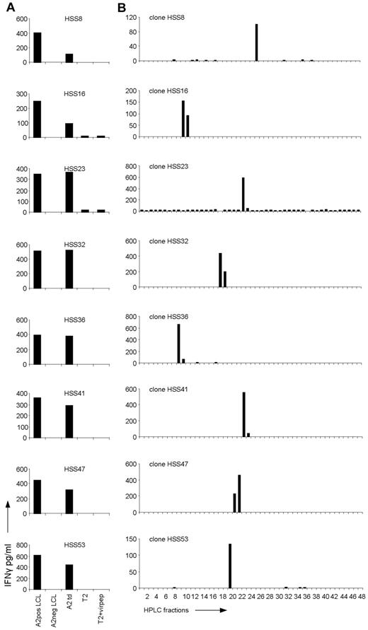 Figure 1. Recognition of HPLC fractions of HLA-A2–eluted peptides by the allo-HLA–reactive T-cell clones. (A) The allo-HLA–reactive T-cell clones were stimulated with HLA-A2–positive EBV-LCLs (A2pos LCL), HLA-A2–negative EBV-LCLs (A2neg LCL), HLA-A2–negative EBV-LCLs transduced with HLA-A2 (A2 td), T2 cells (T2), and T2 cells loaded with a mixture of different HLA-A2–binding peptides from CMV, EBV, and Flu (T2+virpep). Supernatants were harvested after 18 hours of stimulation and IFNγ was measured by standard ELISA. (B) Peptides were eluted from the HLA-A2 molecules of EBV-LCLs and fractionated by RP-HPLC using a water/acetonitrile/TFA gradient. Twenty-six of the 44 non-T2 recognizing allo-HLA-A2–reactive T-cell clones, of which 8 are shown in this figure, were stimulated with T2 cells loaded with the HPLC fractions.
