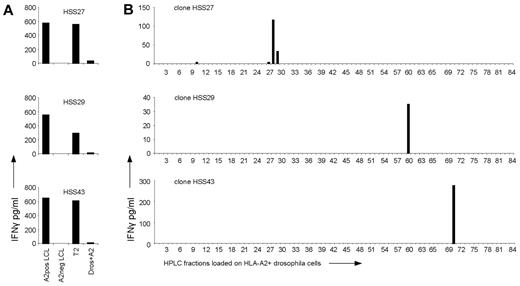 Figure 2. Investigation of the peptide specificity of T2-reactive T-cell clones. (A) T2-reactive T-cell clones HSS27, HSS29, and HSS43 were stimulated with HLA-A2–positive EBV-LCLs (A2pos LCL), HLA-A2–negative EBV-LCLs (A2neg LCL), T2 cells (T2), and Drosophila cells expressing HLA-A2, CD80, and CD54 (Dros+A2). (B) Peptides were eluted from the HLA-A2 molecules of T2 cells and fractionated by RP-HPLC. The 6 allo-HLA–reactive T-cell clones which recognized T2 cells were tested for IFNγ production against the HPLC fractionations loaded on Drosophila cells expressing HLA-A2, CD80, and CD54; 3 representative clones are shown.