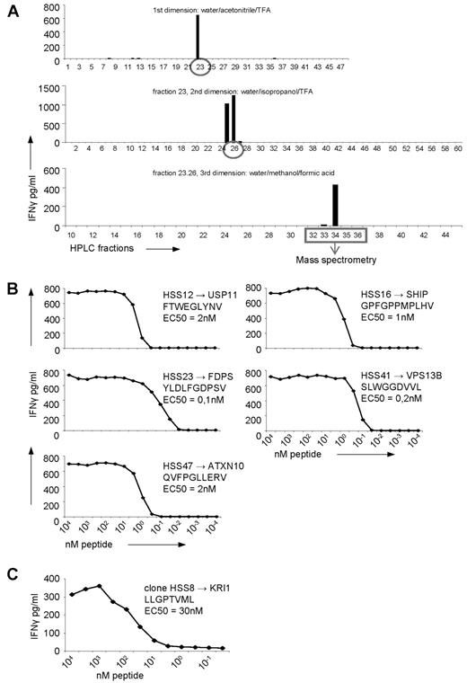 Figure 3. Identification of the peptides recognized by the allo-HLA–reactive T-cell clones using multidimensional HPLC fractionation and MS. (A) Five non-T2-recognizing allo-HLA–reactive T-cell clones were stimulated for 18 hours with T2 cells loaded with the first dimension HPLC fractions of peptides eluted from HLA-A2 derived from EBV-LCLs, and IFNγ was measured in the supernatant by standard ELISA. The recognized HPLC fractions were subjected to a second fractionation using a water/isopropanol/TFA gradient, loaded on T2 cells, and subsequently tested for recognition by the T-cell clones. The recognized fractions were fractionated a third time, using a water/methanol/formic acid gradient and tested for recognition. After the third fractionation, the peptide masses present in the recognized and in the adjacent not-recognized fractions were analyzed by MS and the sequences of the peptides were identified. The identification of the peptide recognized by clone HSS12, which is representative for the identification of the peptides recognized by the 4 other clones, is shown. (B) The 5 allo-HLA–reactive T-cell clones, for which the recognized peptides were identified, were tested for their affinity for the respective peptides. The T-cell clones were stimulated with T2 cells loaded with titrated concentrations of the peptides for 18 hours, and IFNγ was measured in the supernatant by standard ELISA. (C) By MS it was determined that the peptide recognized by the T2-reactive T-cell clone HSS8 was derived from KRI1. To determine the affinity of the T-cell clone for this peptide, the clone was tested for IFNγ production against Drosophila cells expressing HLA-A2, CD80 and CD54 loaded with titrated concentrations of the peptide. EC50 represents the peptide concentration needed for half of the maximum IFNγ production by the representative T-cell clone.
