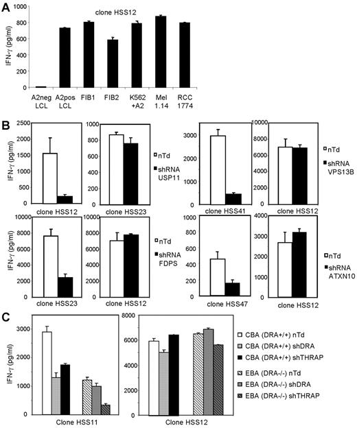 Figure 5. Recognition of different HLA-A2–positive target cells by allo-HLA–reactive T-cell clones and confirmation of their single peptide specificity by transduction of shRNA specific for their respective recognized Ags. (A) The allo-HLA–reactive T-cell clones were stimulated with HLA-A2–negative EBV-LCLs (A2neg LCL), HLA-A2–positive EBV-LCLs (A2pos LCL), HLA-A2+ fibroblasts derived from 2 different individuals (FIB1 and FIB2), K562 cells transduced with HLA-A2 (K562+A2), HLA-A2–positive melanoma cell line 1.14 (Mel 1.14), and HLA-A2–positive renal cell carcinoma cell line 1774 (RCC 1774). Reactivity of one representative clone, clone HSS12, is shown. (B) Allo-HLA–reactive T-cell clones HSS12, HSS23, HSS41, and HSS47 were tested against fibroblasts transduced with lentiviral vectors encoding shRNAs specific for the genes of USP11, FDPS, VPS13B, or ATXN10 in combination with the puromycin resistance gene. shRNA-transduced cells were cultured for 14 days with puromycin (4 μg/mL) and used as stimulator cells for the corresponding allo-reactive T-cell clone and a control allo-reactive T-cell clone. Nontransduced cells (nTd) were used as control stimulator cells. By quantitative real-time PCR, the down-regulation of mRNA of the different genes compared with nontransduced cells was analyzed, the fold decrease for USP11 = 5, FDPS = 31, VPS13B = 5, ATXN10 = 10. (C) HSS11 and HSS12 were tested against DRA+/+ (CBA) and DRA−/− (EBA) fibroblasts transduced with lentiviral vectors encoding shRNAs specific for the genes of DRA or THRAP4, selected for 14 days with puromycin and cultured for 72 hours with 100 IU of IFNγ/mL. Down-regulation of mRNA of DRA and THRAP4 was analyzed by qRT-PCR, the decrease for THRAP4 in CBA and EBA was 10-fold, the decrease for DRA in CBA was 4-fold. No expression of DRA was measured in EBA.