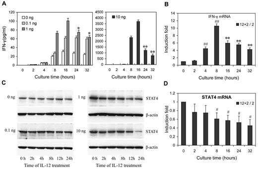 Figure 2. Dose- and time-dependent expression of IFN-γ and STAT4 in IL-12-treated NK cells. (A) NK cells were treated with 0, 0.1, 1, or 10 ng/mL IL-12 and incubated for the times indicated in the presence of IL-2. Culture supernatants were collected at the times indicated points from 2 to 32 hours. The IFN-γ levels in the medium were quantified by ELISA. Bars at 2, 4, and 8 hours indicate cumulative IFN-γ levels in culture supernatants; Bars at 16, 24 and 32 hours indicate IFN-γ production in each preceding 8 hours in culture supernatants. (B) NK cells were treated with 0 or 10 ng/mL IL-12 and incubated for indicated times in presence of IL-2. Total RNA was purified from the respective cell pellets and analyzed by qRT-PCR for the expression of IFN-γ mRNA. (C) NK cells were cultured as in panel A. Cells were collected at the times indicated and whole-cell extracts were prepared. Western blots were performed with anti-STAT4. (D) NK cells were treated with 0 or 10 ng/mL IL-12 and incubated for indicated times in presence of IL-2. Total RNA was purified from the respective cell pellets and analyzed by qRT-PCR for the expression of STAT4 mRNA. “2 + 12 / 2” represents the fold change in mRNA levels calculated by comparing the value of IL-2 + IL-12–cultured cells (2 + 12) to that of IL-2-cultured samples2 in parallel. The results are mean ± SEM of representative experiments with NK cells from 3 different donors. *P < .05, **P < .01 vs 16 hours (A) or 8 hours (B) same concentration of IL-12 treated cells. #P < .05, ##P < .01 versus 0 hours untreated cells.