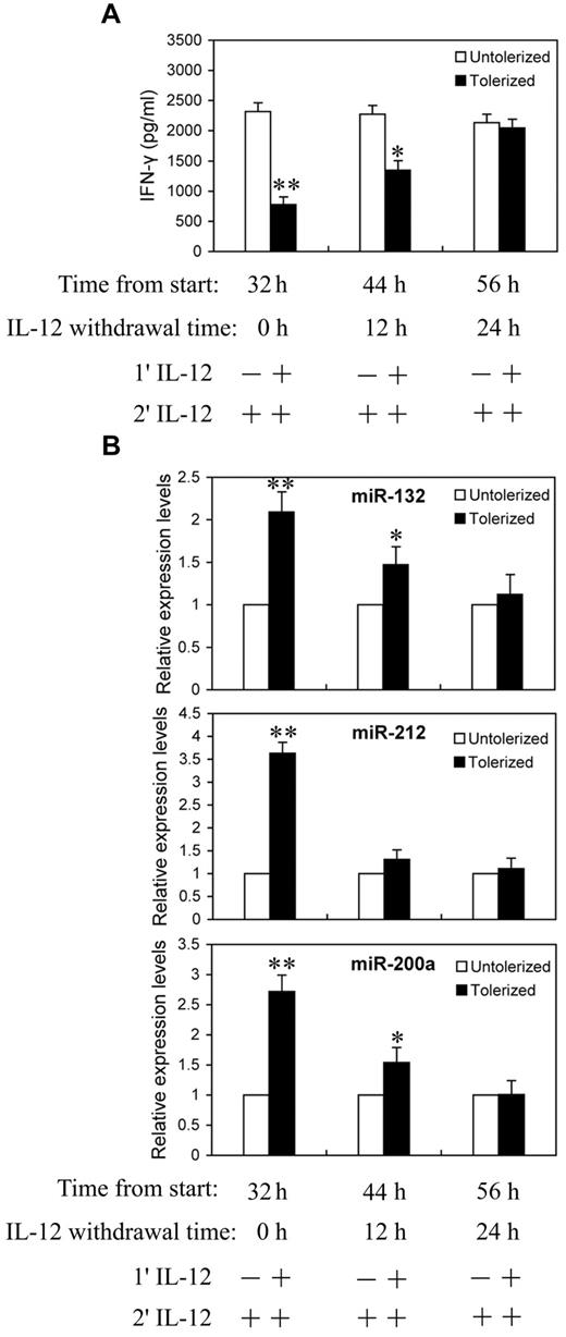 Figure 5. Reduction in miR-132, -212, and -200a expression in IL-12 tolerized NK cells inversely correlated with IFN-γ production. (A) NK cells were cultured with (tolerized) or without (untolerized) 10 ng/mL IL-12 continuously for 24 hours in the presence of IL-2. Cells were then washed twice with PBS and cultured in complete growth medium with IL-2 for additional 0, 12, or 24 hours (IL-12 withdrawal). At each time point after IL-12 withdrawal, cells were challenged with 10 ng/mL of IL-12 for 8 hours in the presence of IL-2 before analysis of IFN-γ protein production in culture supernatant by ELISA. (B) qRT-PCR analysis of total small RNA for miR-132, miR-212 and miR-200a expression. NK cells were cultured as in panel A. The results are mean ± SEM of representative experiment with NK cells from 3 different donors. *P < .05, **P < .01 versus IL-12 untolerized cells.
