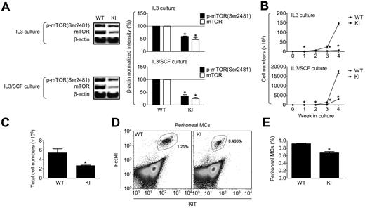 Figure 1. Role of mTORC1 and mTORC2 in the growth of BMMC progenitors. (A) Four- to 6-week-old BMMCs from WT or KI-disrupted mTOR (KI) mice were analyzed by immunoblotting with mTOR phosphoprotein-specific or protein-specific Abs and data were quantitated (right). (B) One million BM cells from WT or KI mice were cultured for 4 weeks in the presence of IL-3 or IL-3/SCF and cell numbers were determined. (C) Total numbers of peritoneal cells recovered from WT or KI mice. (D) The peritoneal cells recovered in panel C were stained with PE-KIT-, FITC-FcϵRI-, and FITC-IgE–specific Abs and analyzed by flow cytometry. (E) The percentage of peritoneal MC population, FcϵRI, and KIT+ population determined in panel D was evaluated. In panel D, a representative flow cytometry analysis is shown. In panels A through C and E, the data represent means and SEM (A-B, n = 3; C and E, n = 6; note that “n” refers to the number of pairs of mice) and differences between WT and KI (*P < .05 by t test) are indicated.