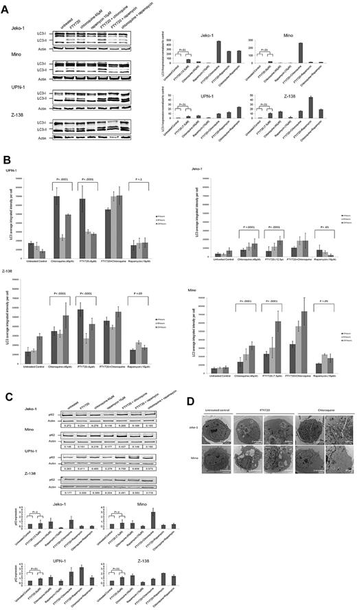 Figure 1. FTY720 treatment blocks autophagy in MCL cells. (A) Four MCL cell lines were treated with FTY720 (Jeko-1, 12.5μM; Mino, 7.5μM; UPN-1, 12.5μM; and Z-138, 7.5μM), chloroquine (40μM), rapamycin (10μM), or combinations, harvested at 24 hours, and immunoblotted for the microtubule-associated protein light-chain 3 (LC3-I and LC3-II). Actin was used as a loading control. Representative histograms summarizing 3 independent experiments are also shown. Histograms were obtained using densitometry data for LC3-II levels in treated samples relative to untreated samples and normalized to the actin control. (B) The amount of total cellular LC3 was determined by confocal microscopy. Jeko-1, Mino, UPN-1, and Z-138 cells were treated with FTY at the indicated doses, chloroquine (40μM), rapamycin (10μM), or the combination of FTY720 and chloroquine for 4, 8, and 24 hours. LC3 fluorescence intensity was measured in 4 microscopic fields and integrated intensity was averaged relative to the number of cells per field (approximately 180-220 cells per condition). Representative histograms summarizing LC3 fluorescence intensity are shown. P values were calculated comparing FTY720, chloroquine, and rapamycin treatment with the untreated control. (C) Jeko-1, Mino, UPN-1, and Z-138 cells were treated with FTY720 at the doses indicated in panel A, chloroquine (40μM), rapamycin (10μM), or combinations, harvested at 24 hours, and immunoblotted for p62. Actin was used as loading control. Levels of p62 normalized with actin are also shown in panel C. Representative histograms summarizing 3 independent experiments are also shown. Histograms were obtained using densitometry data for p62 levels in treated samples relative to untreated samples and normalized to the actin control. (D) Representative TEM images showing ultrastructural changes observed with Jeko-1 and Mino cells treated with or without FTY720 at the indicated concentrations for 8 hours. The arrows indicate accumulation of autophagic vacuoles containing cytoplasmic material after exposure to FTY720 or chloroquine.