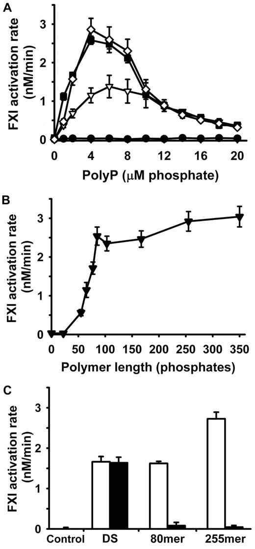 Figure 1. polyP enhances FXI activation by α-thrombin. In all panels, initial rates of FXI activation were quantified at 37°C in reactions containing 30nM FXI, 5nM α-thrombin, and polyP or dextran sulfate. Data are mean ± SE (n = 4). (A) Concentration dependence of polyP-mediated enhancement of FXI activation by α-thrombin, tested with 4 different polyP polymer lengths: 22mer (●), 65mer (▿), 167mer (■), and 350mer (◊). (B) PolyP polymer length dependence of the enhancement of FXI activation by α-thrombin, using size-fractionated polyP preparations at 4μM phosphate (0 indicates no polyP). (C) EcPPXc abrogates the ability of polyP, but not dextran sulfate, to enhance FXI activation by α-thrombin. Rates of FXI activation were quantified in the absence (open bars) or presence (solid bars) of EcPPXc. Reaction conditions included no polyanion (control), with 1 μg/mL dextran sulfate (DS) or with 4μM polyP (80mer or 255mer, as indicated).