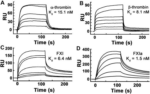 Figure 4. α-thrombin, β-thrombin, FXI, and FXIa bind with high affinity to immobilized polyP. Binding of α-thrombin, β-thrombin, FXI, or active site–inhibited FXIa to polyP was quantified using SPR, with biotinylated polyP bound to streptavidin sensorchips, over which varying protein concentrations were flowed. Panels are representative sensorgrams for 2.5 to 20nM α-thrombin (A), 5 to 80nM β-thrombin (B), 1.25 to 40nM FXI (C), and 2.5 to 20nM active site–inhibited FXIa (D). Kd values were derived as described under “Methods.”