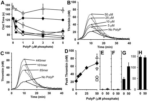Figure 5. PolyP plus β-thrombin accelerates plasma clotting and enhances thrombin generation. (A) PolyP shortens plasma clotting times triggered by β-thrombin (measured using a mechanical coagulometer). Citrated FXII- or FXI-deficient plasmas containing 100 μg/mL corn trypsin inhibitor and 20μM PCPSPE were incubated for 1 minute at 37°C with 12nM β-thrombin and varying polyP concentrations, after which CaCl2 was added and the time to clot formation was measured. PolyP tested with FXII-deficient plasma included 22mer (●), 65mer (▿), 101mer (♦), 211mer (○), or 445mer (▴). FXI-deficient plasma was tested with 445mer polyP (▵). Data are mean ± SE (n = 5). Panels B and C are mean thrombin generation (CAT) curves for FXII-deficient plasmas containing 100 μg/mL corn trypsin inhibitor, 20μM PCPSPE, and 20nM FVa (4 experiments of triplicate wells). (B) Concentration dependence of polyP's ability to enhance thrombin generation in the presence of 20nM β-thrombin and varying polyP (101mer at 0-50μM phosphate). (C) Effect of polyP polymer length on thrombin generation in the presence of 20nM β-thrombin and with or without 50μM polyP (65mer, 101mer, or 445mer). (D-H) Mean peak thrombin levels from experiments represented in panels B and C (± SE; n = 4) obtained with 20nM β-thrombin and varying polyP. (D) Peak thrombin levels in FXII-deficient plasma at the indicated concentrations of polyP 65mer (▿), 101mer (♦), or 445mer (▵). In control experiments, polyP 445mer was preincubated with 250 μg/mL EcPPXc (◊) or predigested with 40 μg/mL rPPX1 (□). (E) Peak thrombin levels in FXII-deficient plasma preincubated with anti-FXI antibody ± 50μM polyP 101mer. (F) Peak thrombin levels in FXI-deficient plasma ± 50μM polyP 101mer. (G) Peak thrombin levels in FXI-deficient plasma to which 4 μg/mL FXI had been added ± 50μM polyP 101mer. (H) Peak thrombin levels in FXI-deficient plasma to which 50pM FXIa had been added ± 50μM polyP 101mer.