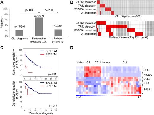 Figure 2. Prevalence, mutual relationship with other genetic lesions, and clinical impact of SF3B1 mutations in CLL. (A) Prevalence of SF3B1 mutations in CLL at diagnosis, in fludarabine-refractory CLL, and in RS; numbers on top indicate the actual number of mutated samples over the total number analyzed. (B) Mutual relationship of SF3B1 mutations with other genetic lesions in CLL at diagnosis and in fludarabine-refractory CLL. In the heat map, rows correspond to identical genes, and columns represent individual patients color-coded based on the gene status (white: wild type; red: mutations of SF3B1, mutations of NOTCH1, mutations and/or deletion of TP53, deletion of ATM). (C) Kaplan-Meier estimates of treatment-free survival (TFS) and overall survival (OS) from diagnosis in the consecutive series of newly diagnosed and previously untreated CLL (n = 301). SF3B1 wild-type (SF3B1 wt) are represented by the blue line. SF3B1 mutated cases (SF3B1 M) are represented by the red line. (D) Gene expression levels of BCL6, AICDA, BCL2, IRF4, and SF3B1 in normal B-cell subpopulations (Naive; centroblasts, CB; centrocytes, CC; memory) and CLL samples. Relative levels of gene expression are depicted with a color scale: red represents the greatest level of expression and blue represents the lowest level.