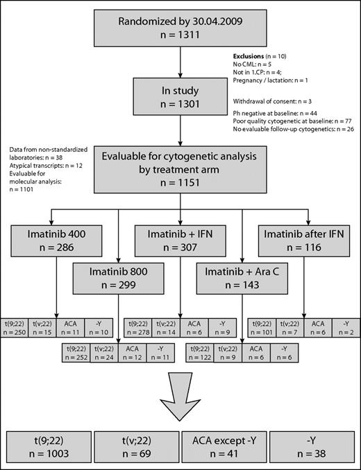 Figure 1. Consort flow diagram of evaluable patients.