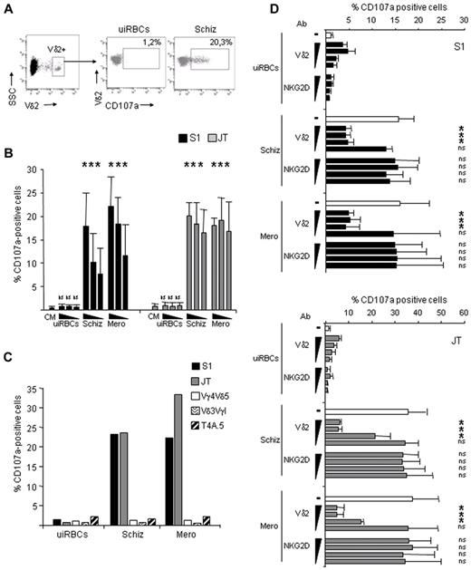 Figure 4. Vγ9Vδ2 T cells degranulate in the presence of trophozoites and merozoites in a TCR-dependent mechanism. The S1 and JT Vγ9Vδ2 T-cell lines were incubated for 6 hours with uiRBCs, purified schizonts (Schiz), or merozoites (Mero), and CD107a surface expression was detected as described in “Methods.” (A) Representative flow cytometry dot-plot showing the gating strategy for Vδ2+ T cells and for detection of CD107a surface expression on gated cells after incubation with uiRBCs or schizonts. (B) Percentage of CD107a+ cells from S1 and JT cell lines incubated in CM or with uiRBCs, purified schizonts, or merozoites at decreasing E/T ratios (1/10, 1/5, and 1/2.5). Data represent mean ± SD of 4 independent experiments (n = 4) and were obtained by collecting of 10 000 Vδ2+ events (*P ≤ .05 by Mann-Whitney rank sum test comparing cells incubated with uiRBCs, schizonts, or merozoites with cells incubated in CM). (C) Percentage of CD107a+ cells among S1 and JT cells, or among control T cells (a Vγ4Vδ5 T-cell line, a Vδ3VγI T-cell line, and an αβ T4A.5 T-cell clone) incubated in uiRBCs, purified schizonts, or merozoites at 1/10 E/T ratio. The figure is representative of 3 independent experiments (n = 3). (D) Percentage of CD107a+ cells among S1 (top) and JT cells (bottom) preincubated for 1 hour with 1, 0.5, 0.1, and 0.01 μg/mL of anti-Vδ2 (IgG1, clone immu389) or anti-NKG2D (IgG1, clone 149810) blocking antibodies and then incubated with uiRBCs, purified schizonts, or merozoites at 1/10 E/T ratio. Data represent mean ± SD of 4 independent experiments (n = 4) and were obtained by collecting 10 000 Vδ2+ events (*P ≤ .05 by Mann-Whitney rank sum test comparing cells incubated with different concentrations of anti-Vδ2 or anti-NKG2D blocking antibodies with untreated cells on schizont or merozoite stimulation).