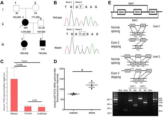 Figure 1. THPO mutation inactivates the intron 2 splice donor and correlates with elevation of thrombopoietin level. (A) Pedigree of the 6 family members with serum thrombopoietin concentrations (pg/mL) in the 1st row and platelet counts (/mm3) in the 2nd row. The proband (II-1) and her 2 children (III-1, III-2) exhibit thrombocytosis and high serum thrombopoietin levels. The proband's parents (I-1, I-2) and husband (II-2) have normal platelet counts and thrombopoietin levels. (B) A novel heterozygous T > C point mutation at the splice donor site of THPO gene intron 2 was identified through Sanger sequencing in the proband and her children, but not in her parents or husband. (C) The serum thrombopoietin concentrations of family members with the THPO mutation were significantly higher than those family members without the mutation (P < .01), or healthy controls (P < .001). The thrombopoietin levels in the latter 2 groups showed no statistically significant difference. This analysis is performed with 1-way ANOVA followed by the Student-Newman-Keuls multiple comparisons test and the data are presented in the mean with SEM format. D) Basal phosphorylated STAT5 (pSTAT5) levels in CD3−/CD66−/CD14− myeloid progenitors were evaluated and the 95th percentile is presented in the mean with SEM format. An un-paired t test revealed that pSTAT5 levels are significantly higher in the affected group (*P = .024). (E) Top panel: schematic of the cloned inserts used for exon trapping. These inserts were amplified from patient genomic DNA, cloned into the pCR2.1-TOPO Vector, and then subcloned into the pSPL3b exon trapping vector. Middle panel: expected splicing products from the constructs of the cloned sequence within pSPL3b. In the presence of a mutation in intron 2, exon 2 is expected to be spliced out of the resulting product. Bottom panel: electrophoretic visualization of cDNA-PCR products amplified from the constructs after transfection into COS-7 cells. RNA was extracted and reverse transcribed to cDNA 48 hours after the transfection of the pSPL3b-Insert construct into COS-7 cells. PCR was performed using primers SD6 and SA2, and products were resolved on a 2% agarose gel. Splicing of the vector alone yields a 261bp fragment resulting from the flanking vector exons. Splicing of the wild-type Insert 1 and Insert 2 constructs results in 547bp and 634 bp fragments, respectively. The mutant splice products display fragments that are 158bp shorter, indicating complete splicing-out of exon 2.