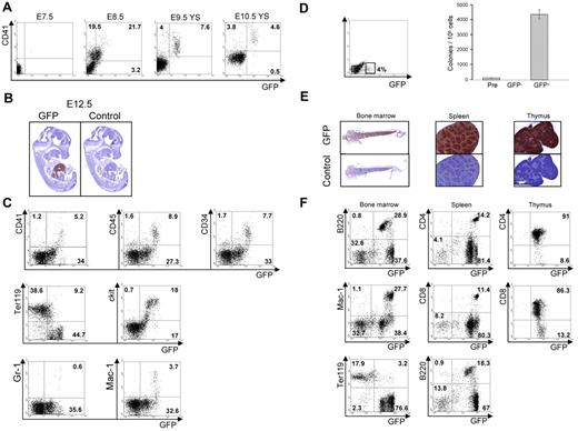 Figure 2. Analysis of the expression of AI467606 in mouse embryos and adult hematopoietic organs. (A) FACS analysis of CD41 and AI467606-GFP coexpression in single embryos at E7.5, E8.5, yolk sac at E9.5 and E10.5. (B) GFP and control antibody immunohistochemistry of paraffin sections of transgenic embryos at E12.5. (C) FACS analysis of AI467606-GFP coexpression with CD41, CD45, CD34, Ter119, cKit, Gr-1, and Mac-1 in E12.5 fetal liver. Numbers indicate percentages of respective populations. (D) GFP FACS profile of E8.5 embryos and FACS sorting gates. Number of colonies generated by each cell population in methylcellulose. Mean numbers of colonies from 3 dishes of a representative experiment are shown. Error bars represent SEM (n = 3), Pre corresponds to the total population (Pre-sort). (E) GFP and control antibody immunohistochemistry of paraffin sections of bone marrow, spleen, and thymus of transgenic embryos. (F) FACS analysis of AI467606-GFP coexpression with B220 B-cell marker, Mac-1 myeloid marker, Ter119 erythroid marker, and CD4 and CD8 T-cell markers in bone marrow (left), spleen (middle), and thymus (right) of AI467606-GFP mice. Numbers indicate percentages of respective populations.