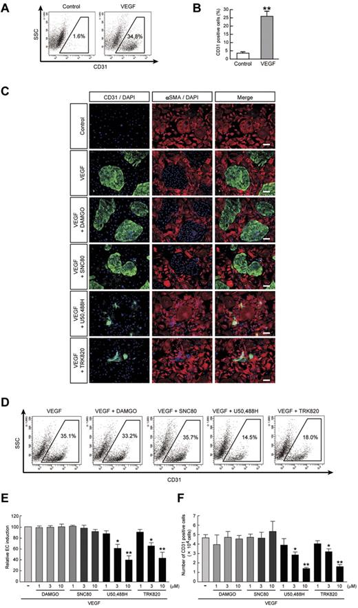 Figure 1. Inhibitory effects of KOR agonists U50,488H and TRK820 on EC induction from Flk1+ cells. Flk1+ cells after 3 days of culture (Flk-d3). (A) Flow cytometry. X-axis: CD31; y-axis: side scatter (SSC). Percentages of CD31+ ECs among total Flk1+ cell–derived cells are indicated. (B) Quantitative evaluation of the effect of VEGF on CD31+ EC induction from Flk1+ cells by FACS. Percentages of CD31+ cell population among total Flk1+ cell–derived cells. Control (n = 7) and VEGF (50 ng/mL; n = 7) treatments are shown (**P < .01 vs control). (C) Double fluorescent staining for CD31 and αSMA at Flk-d3. Left, CD31 (pan-ECs, green) and DAPI (blue); middle, αSMA (MCs, red) and DAPI (blue); and right, merged. Flk1+ cells were stimulated with VEGF (50 ng/mL), DAMGO (10μM), SNC80 (10μM), U50,488H (10μM), or TRK820 (10μM) as indicated. Scale bars, 200 μm. (D) Flow cytometry. X-axis: CD31; y-axis: SSC. Percentages of CD31+ ECs among total Flk1+ cell–derived cells are indicated. (E) Percentages of CD31+ cell population among total Flk1+ cell–derived cells. Treatments with VEGF alone (50 ng/mL; n = 7), and VEGF plus DAMGO (1, 3, 10μM; n = 4), SNC80 (1, 3, 10μM), U50,488H (1, 3, 10μM; n = 4), or TRK820 (1, 3, 10μM; n = 4) are shown (**P < .01, *P < .05 vs VEGF). (F) CD31+ cell number that appeared from 1.5 × 105 of Flk1+ cells. (**P < .01, *P < .05 vs VEGF).