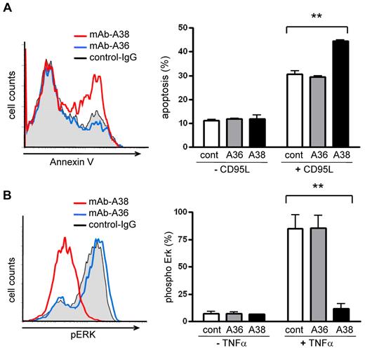 Figure 5. Toso specific monoclonal antibody A38 blocks survival signaling pathways. (A) Anti–human Toso mAb A38 enhances CD95-mediated apoptosis. Human primary T cells were preincubated for 60 minutes with 2 μg/mL of anti–human Toso mAb A36, A38 or control rat IgG. Cells were then stimulated for 16 hours with 100 ng/mL CD95L and apoptosis was assessed by annexin V staining. Representative flow cytometric histograms from cells treated with control IgG (gray filled), anti–human Toso mAb A36 (blue) or anti–human Toso mAb A38 (red) are shown on the left. Relative % of apoptosis is quantified on the right. Data are representative of 4 experiments. Statistical analysis: Student t test (**P < .01). (B) Anti–human Toso mAb A38 inhibits TNFα-mediated Erk-phosphorylation. Human primary T cells were preincubated for 60 minutes with 2 μg/mL human Toso mAb A36, A38 or control rat IgG. Cells were then stimulated for 10 minutes with 100 ng/mL TNFα. Erk-phosphorylation was examined by intracellular flow cytometric analysis using a phospho-Erk specific antibody. Representative flow cytometric histograms from cells treated with control IgG (gray filled), anti–human Toso mAb A36 (blue) or anti–human Toso mAb A38 (red) are shown on the left. Relative % of Erk-phosphorylation is quantified on the right. Data are representative of 3 experiments. Statistical analysis: Student t test (**P < .05).