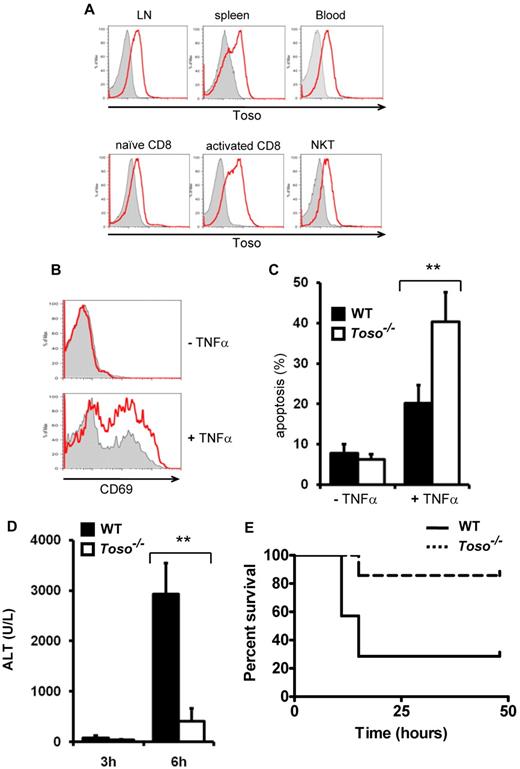 Figure 6. Toso deficiency results in defective TNFα signaling and protects from TNFα-mediated liver damage. (A) Toso expression in peripheral lymphoid organs. Leukocytes from lymph node (LN), spleen, peripheral blood, naive CD8+ T cells, CD3/CD28 activated CD8+ T cells and NKT cells (DX5+CD3+) were stained with anti–mouse Toso antibody. Flow cytometric histograms of Toso−/− cells (gray filled) and Toso+/+ cells (red) are shown in overlays. Data are representative of 2 experiments using 4 mice per group. (B) Toso deficiency results in decreased TNFα-induced coactivation of CD8+ T cells. Purified naive CD8+ T cells from spleen of Toso+/+ or Toso−/− mice were incubated with 2 ng/mL of IL-2 (top panel) or IL-2 + 20 ng/mL of TNFα (bottom panel) for 12 hours and analyzed for CD69 surface expression. Flow cytometric histograms of Toso−/− cells (gray filled) and Toso+/+ cells (red) are shown in overlays. Data shown are representative of 3 experiments using 6 mice per group. (C) Toso deficiency results in increased TNFα-induced apoptosis in CD8+ T cells. CD8+ T cells were stimulated for 24 hours via CD3/CD28. Subsequently, activated CD8+ T blasts were stimulated with 20 ng/mL of TNFα for another 24 hours or left unstimulated. Cellular apoptosis of Toso+/+ (black bars) or Toso−/− (white bars) CD8+ T cells were assessed by staining with annexinV and 7-AAD. Results shown are mean percentages ± SEM of apoptotic cells (n = 6/group). Data shown are representative of 3 experiments. Statistical analysis: Student t test (**P < .01). (D) Toso deficiency protects from TNFα-induced liver injury. Toso+/+ and Toso−/− mice were injected intraperitoneally with GalN followed an IV administration of TNFα. Liver damage was analyzed by measuring alanine-aminotransferase (ALT) activity in the serum of Toso+/+ (black) and Toso−/− (white) mice at 4 and 6 hours after TNFα administration. Results shown are mean values ± SEM (n = 5/group). Statistical analysis: Student t test (**P < .01). Data shown are representative of 3 experiments. (E) Survival of wt C57BL/6 and Toso-deficient mice. Toso+/+ and Toso−/− mice were injected intraperitoneally with GalN followed an intravenous administration of TNFα. Results shown are from 7 mice per genotype (n = 7, P = .027, Mantel Cox test). Data shown are representative of 3 experiments.