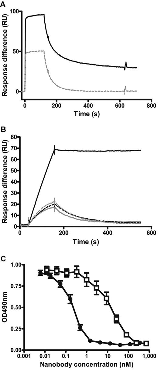 Figure 1. Effect of bivalent Nanobody format on VWF binding. (A) Surface plasmon resonance analysis with a Biacore sensor chip coupled with plasma-purified VWF. Binding and dissociation of 100nM PMP12A2h1 (gray dashed line) and ALX-0081 (black solid line) are shown. (B) Surface plasmon resonance analysis with a Biacore sensor chip coupled with recombinant VWF A1 domain. Binding and dissociation of 1nM PMP12A2h1 (gray dashed line), mock-PMP12A2h1 (gray solid line), PMP12A2h1-mock (black dashed line), and ALX-0081 (black solid line) are shown. Representative of 3 independent experiments. (C) Inhibition of VWF binding to human formalin-fixed platelets: formalin-fixed platelets were bound to poly-L-lysine–coated microtiter plates after which VWF was added in the presence of 1.5 mg/mL ristocetin and different amounts of ALX-0081 (●) or PMP12A2h1 (□). Residual bound VWF was detected colorimetrically. Optical density (OD) measured at 490 nm is shown in function of the Nanobody concentration (mean ± SEM, n = 21).