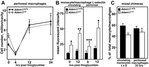 Figure 4. Although surface levels of L-selectin are elevated on Adam17−/− monocytes relative to WT controls, their recruitment to the peritoneal cavity is not accelerated and L-selectin levels do not change on emigration into the peritoneal cavity. As described in the legend to Figure 1, the sterile peritonitis model was used to study monocytic cell recruitment to the peritoneal cavity. (A) Peritoneal cells were collected at the indicated time points after thioglycollate injection (n = 4-5 per group), as well as resident peritoneal cells without stimulation (t = 0). Individual cell numbers were determined and flow cytometry was performed using antibody staining to identify monocytic cells as F4/80+. (B) Cell-surface levels of L-selectin were evaluated on circulating and peritoneal monocytic cells by flow cytometry using antibody staining for CD11b+ and Ly6G− cells. Data are expressed as means ± SD of mean fluorescent intensity (n = 4-5 per group). Statistical significance is indicated (*P < .01 and **P < .02), and these representative data were confirmed in at least 3 replicate experiments. (C) Mixed chimeras were generated containing 50% each WT (Ly5.1) and Adam17-null (Ly5.2) bone marrow. The relative contribution of Adam17+/+ and Adam17−/− monocytes to total circulating monocytes (unstimulated, t = 0, n = 4) and peritoneal macrophages (16 hours after thioglycollate injection, n = 4) were evaluated. Mixed chimeras were evaluated in one other experiment at 24 hours after thioglycollate administration, with similar effects observed. All data are expressed as means ± SD.