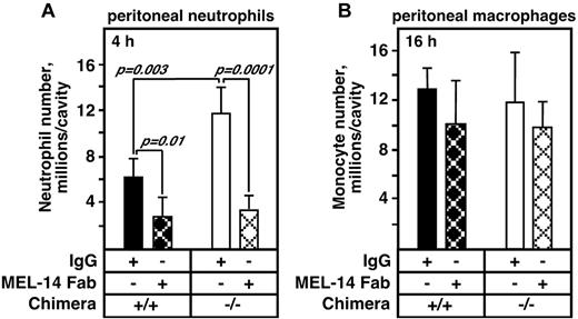 Figure 6. Administration of a hydroxamate inhibitor of MMPs and ADAMs promotes neutrophil emigration to an extent similar to Adam17−/− chimeras, but does not alter monocyte emigration. (A) Neutrophil emigration in C57BL/6 mice treated with a hydroxamate inhibitor or vehicle (n = 4 per group) was monitored as described in the legend to Figure 1. The experiment shown is representative of a total of 3 experiments. *P = .01. (B) Neutrophil emigration into the peritoneal cavity of Adam17+/+ and Adam17−/− chimeras was analyzed in the presence and absence of the hydroxamate inhibitor 4 hours after thioglycollate injection. **P < .0001. (C) Time course of monocyte emigration in C57BL/6 mice in the presence and absence of hydroxamate inhibitor as described in panel A is shown using an antibody to F4/80 to identify macrophages. (D) Monocyte emigration into the peritoneal cavity of Adam17+/+ and Adam17−/− chimeras was analyzed in the presence and absence of the hydroxamate inhibitor 16 hours after thioglycollate injection. **P < .0001. All data are expressed as means ± SD.