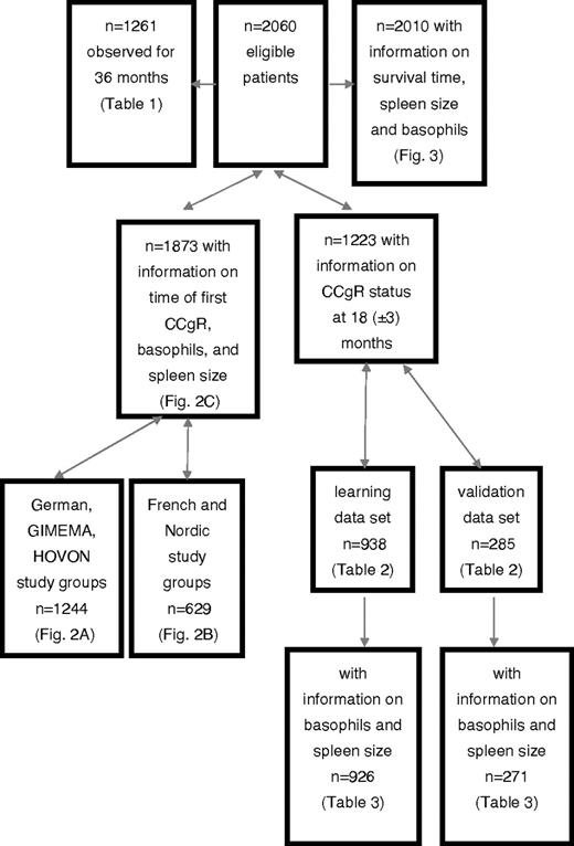 Figure 1. Patient flow diagram.