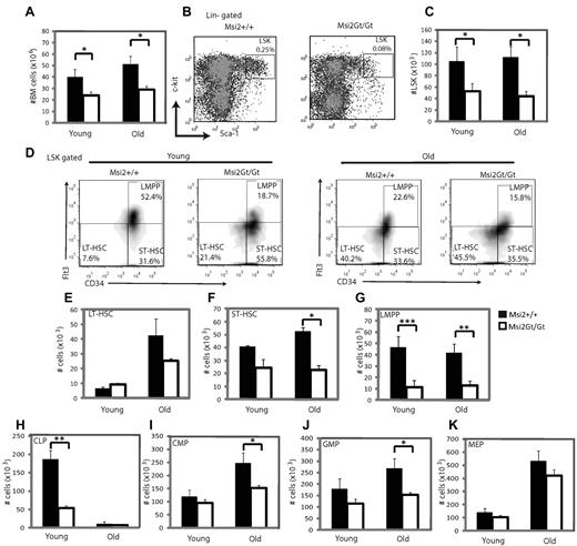 Figure 3. Flow cytometric analysis of hematopoietic progenitors of Msi2Gt/Gt mice. (A) Histogram showing total number of nucleated cells in hind limbs of wild-type (Msi2+/+) and Msi2Gt/Gt mice for young (2-5 months, n = 6) and old mice (> 12 months, n = 6). (B) FACS profiles of WT and Msi2Gt/Gt LSK subsets in 3.5-month-old animals. (C) Numbers of WT and Msi2Gt/Gt LSK cells in young and old mice (n = 6 for each). (D-K) Frequency of LT-HSCs, ST-HSCs, LMPPs, CLPs, CMPs, GMPs, and MEPs of young and old WT and Msi2Gt/Gt mice. Six mice were studied for the primitive progenitors of each group, 4 for the intermediate progenitors in young mice and 5 in old mice. Black bars show cells derived from WT, and white bars are cells from Msi2Gt/Gt mice. Error bars indicate SEM. *P < .05; **P < .005.