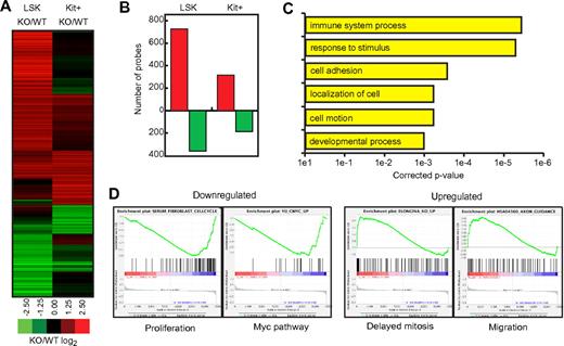 Figure 6. Gene-expression analysis. (A) Heat map of all array probes misregulated at least 2-fold in either LSK or Kit+ Msi2Gt/Gt cells (n = 1399 probes), depicted as the ratio between knockout and WT cells. (B) Number of gene probes that were up-regulated (red bars) or down-regulated (green bars) in Msi2Gt/Gt cells compared with WT cells. (C) Selected Gene Ontology enrichments of probes misregulated in Msi2Gt/Gt LSK cells, showing corrected P values for significance. (D) Examples of GSEA plots obtained from expression change–ranked microarray data. The plots from 2 gene sets enriched in down-regulated genes (Proliferation and Myc pathway) and 2 gene sets enriched in up-regulated genes (Delayed mitosis and Migration) are shown. Within these plots, the green line represents the sliding enrichment score, the black bars demarcate the position of the gene set members within the ranked expression data (up-regulated, red; down-regulated, blue), and the bottom panel represents the log2 expression changes in Msi2Gt/Gt cells compared with WT cells.