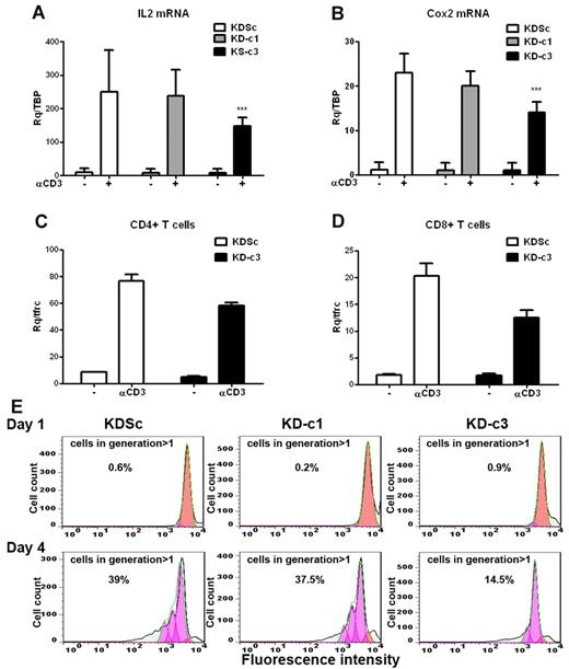 Figure 3. COX2 expression and cell proliferation are NFATc3 dependent in primary T blasts. Primary T cells were stimulated with PHA (5 μg/mL) and maintained in medium containing IL2 (50 U/mL) for 10 days. The cells were then infected with KDSc, KD-c1, or KD-c3 LV vectors as indicated. (A) shRNA-infected T cells were stimulated by plating onto anti-CD3–coated wells (1μg/mL) for 2 hours, and the expression of COX2 (A) (n = 7) and IL2 (B) (n = 8) mRNA was determined by qPCR. ***P < .001. CD4+ (C) and CD8+ (D) blasts were isolated from the infected T-cell blast population and stimulated with plate-bound anti-CD3 for 2 hours. COX2 mRNA expression was analyzed by qPCR. Data are from 1 representative experiment of 3 performed. (E) Infected T-cell blasts were labeled with CellTrace Violet, plated onto wells coated with anti-CD3 plus anti-CD28 (1 μg/mL of each), and proliferation was analyzed by flow cytometry 1 and 4 days after treatment. The proliferating cells lose fluorescent compound in each division. Numbers indicate the per-centage of proliferating cells (generation > 1) after 1 or 4 days. A representative experiment is shown.