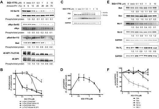 Figure 2. Immunoblot analysis of Pim target proteins in AML cell line treated with SGI-1776. MV-4-11 cells were either untreated, treated with 0.1% vehicle DMSO alone, 0.1, 0.3, 1, 3, or 10μM SGI-1776 and cells were harvested after 24 hours and lysed. (A) The phospho-protein levels of histone H3 (Ser10), c-Myc (Ser62), Bad(Ser112), 4E-BP1 (Thr37/46), were analyzed using immunoblot and normalized to each respective total protein levels. (B) Phospho-protein levels relative to total protein levels. Data are the average of 3 independent experiments ± SEM. (C) Protein levels of FLT3 and p27 were analyzed using immunoblot and normalized to GAPDH as a loading control. (D) p27 protein levels normalized to GAPDH protein. Data are the average of 3 independent experiments ± SEM. (E) Protein levels of proapoptotic Bak, Bax, and antiapoptotic Mcl-1, Bcl-2, and Bcl-xL were analyzed using immunoblot and normalized to GAPDH as a loading control. (F) Pro- and antiapoptotic protein levels normalized to GAPDH protein with Mcl-1 shown in gray. Data are the average of 3 independent experiments ± SEM.