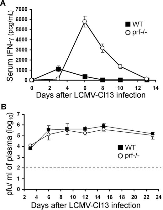 Figure 2. Prf−/− mice display heightened immune activation independently of virus control. (A) Serum IFN-γ levels were measured in WT and prf−/− mice infected with the persistent strain of LCMV, clone 13 (LCMV-Cl13), at the indicated time points. Serum IFN-γ levels at days 6, 8, and 10 were significantly elevated (P < .01) in prf−/− mice compared with WT. (B) Plasma viral levels were measured by plaque assay at the indicated time points in LCMV-Cl13–infected mice. Dashed line indicates limit of detection of the assay. *P < .01.