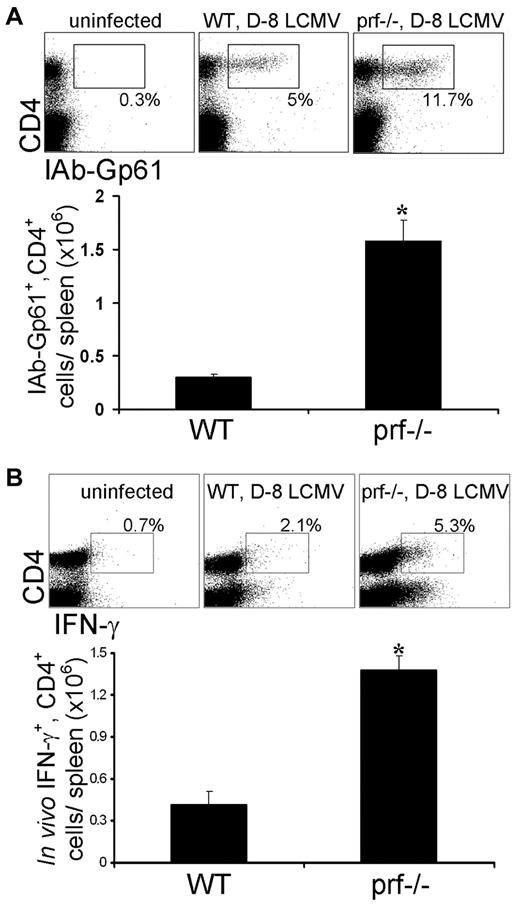 Figure 4. CD4+ T-cell expansion and in vivo activation are heightened in Ctx− mice after LCMV infection. (A) LCMV-specific CD4+ T cells were quantitated in WT and prf−/− mice after LCMV infection by MHC-peptide tetramer (IAb-Gp61) staining of spleen cells. CD4+/CD16− cells from uninfected and day 8 LCMV-infected WT or prf−/− mice are shown in the example dot plots, with the percentage of IAb-Gp61+ of CD4+ cells listed. *P < .001. (B) Splenic CD4+ T cells spontaneously producing IFN-γ in vivo were quantitated 8 days after LCMV infection in WT and prf−/− mice, as described in Figure 3 (n = 8/group). *P < .01.
