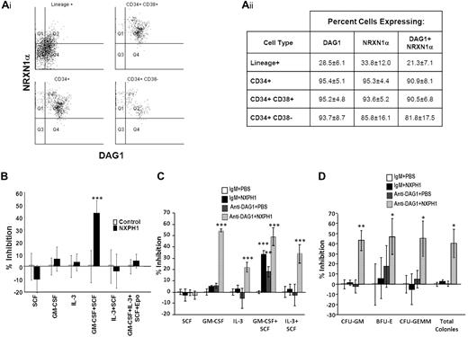 Figure 1. Expression and function of DAG1, NRXN1α, and NXPH in huCB. (Ai) Representative FACS plot of the expression of NRXN1α and DAG1 in huCB populations (For at least 3 independent experiments). (Aii) Chart displaying percentages of huCB populations expressing NRXN1α and DAG1 (combined data from at least 3 independent experiments; mean ± SD). (B) Percent recombinant NXPH1-mediated inhibition of total colony formation in primary huCB cells plated as a population under a variety of factor-stimulated growth conditions (3 combined independent experiments, each done in triplicate; percent inhibition is calculated from the control defined as zero percent inhibition; mean ± SD). (C) Percent recombinant NXPH1-mediated inhibition of CFU-GM colonies produced by huCB-derived HPCs stimulated by specific growth factors, alone or in combination, in the presence and absence of anti-DAG1 blocking Ab when plated in population (combined data from 3 independent experiments performed in triplicate; percent inhibition is calculated from the control defined as zero percent inhibition; mean ± SD). (D) Percent recombinant NXPH1-mediated inhibition of CFU-GM, BFU-E, and CFU-GEMM colonies produced by huCB-derived HPCs stimulated by GM-CSF, IL-3, SCF, and Epo, in the presence and absence of anti-DAG1 blocking Ab when plated in population (combined data from 3 independent experiments performed in triplicate; percent inhibition is calculated from the control defined as zero percent inhibition; mean ± SD). *P < .05, **P < .005, ***P < .0005.