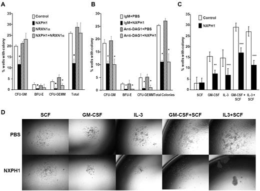 Figure 2. Recombinant NXPH1 directly inhibits colony forming ability and size of primary huCB HPCs. (A) Percent of wells containing individually plated huCB CD34+ cells producing CFU-GM, BFU-E, and CFU-GEMM colonies in the presence of recombinant NXPH1, and/or NRXN1α (252 wells were evaluated for each point; mean ± SD). (B) Percent of wells containing individually plated huCB CD34+ cells producing CFU-GM, BFU-E, and CFU-GEMM colonies in the presence of recombinant NXPH1 and/or anti-DAG1 blocking Ab (252 wells were evaluated for each point; mean ± SD). (C) Percent of wells containing individually plated huCB CD34+ cells grown under a variety of conditions in the presence and absence of recombinant NXPH1-producing CFU-GM colonies (> 500 wells were evaluated for each point; mean ± SD). (D) Size of CFU-GM colonies produced by individually plated huCB CD34+ cells grown under a variety of conditions in the presence and absence of recombinant NXPH1 (representative colonies were selected for display). Microphotographs were taken on a Nikon Labophot with a PLAN objective ×10 (NA 0.3) at room temperature. Images were captured using a 5-mega pixel CCD Nikon DS-Fi1 digital camera in conjunction with NIS-Elements D2.30, Sp1 (Build 325). *P < .05, **P < .005, ***P < .0005.