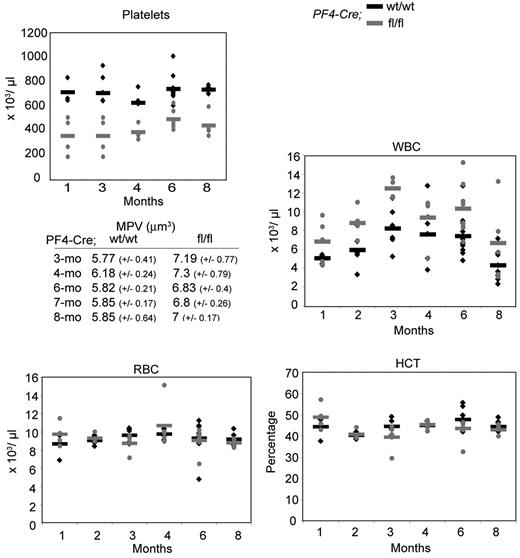 Figure 2. Cre;Sclfl/fl mice are thrombocytopenic. Peripheral blood parameters were analyzed in mice over an 8-month period. (♦) represents Cre;Sclwt/wt mice; and , Cre;Sclfl/fl mice. Each diamond or dot represents an individual mouse. Horizontal bars represent the mean. Platelets, P = 1.8 × 10−12; MPV, mean platelet volume, P = 1.2 × 10−5; WBC, white blood cells, P = 3.7 × 10−5; RBC, red blood cells, P > .1; and HCT, hematocrit, P > .1. For each time point, the analysis was performed on 5 to 8 Cre;Sclfl/fl mice or 3 to 11 Cre;Sclwt/wt mice.