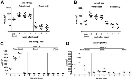 Figure 3. NP-specific memory antibody responses are of both IgG and IgM isotypes. Six weeks after priming, mice were boosted with NP-KLH and the levels of IgG (A) and IgM (B) antibody in sera (n = 9) were compared with unboosted controls (n = 5) and controls, which received a booster injection only (n = 6) as measured by ELISA at time points indicated. (C-D) IgG+ and IgM+ antibody-secreting cells in the spleens (n = 3) were measured by ELISPOT on the days indicated. Controls that received a booster injection only (n = 3) as well as an unboosted control group were included. Horizontal bars represent median values. These data are representative of 2 independent experiments.