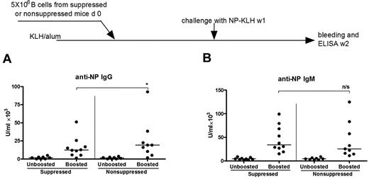 Figure 5. The effect of “helpless” antigen on NP-specific IgG+ and IgM+ memory B cells as revealed by adoptive transfer. A total of 5 × 106 purified B cells from either suppressed or nonsuppressed donor mice were transferred into recipients primed with KLH in alum. One week later, the recipient mice were challenged with 20 μg NP-KLH (suppressed, n = 11; nonsuppressed, n = 10), and serum samples were analyzed for IgG (A) and IgM (B) by ELISA after further one week. *Statistical significance (P < .05). n/s indicates not significant. These are combined data of 2 independent experiments.