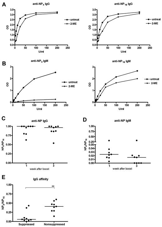 Figure 6. Characterization of affinity of memory IgG and IgM antibodies. NP-specific antibody affinity was measured by binding to either highly haptenated antigen (NP16; total Ig affinity) or less haptenated antigen (NP4; high-affinity Ig). Sera were mildly treated by 2-mercaptoethanol (2-ME) to reduce pentameric IgM. Mice were primed and boosted with NP-KLH, and affinity was measured with or without 2-ME in pooled sera samples 3 weeks after boost (A-B) or individual samples taken at 1 or 3 weeks after boost (C-D). (A-B) Representative of 2 independent experiments. (C-D) Combined data of 2 independent experiments. (E) Affinity of IgG in suppressed and nonsuppressed groups in samples from the adoptive transfer experiments shown in Figure 5. The samples were taken one week after challenge with NP-KLH after an adoptive transfer one week before challenge. Horizontal bars represent median values. **Statistical significance (P < .01). These are combined data of 2 independent experiments.